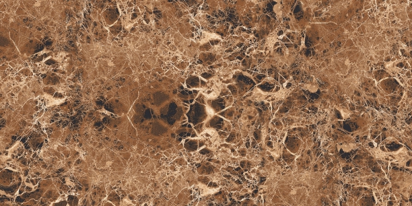 High Gloss Glazed Porcelain Tiles Hg Assist Emperador