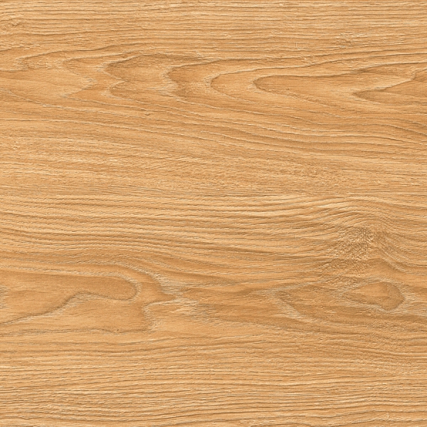 Matt Glazed Porcelain Tiles Eucalyptus Glow